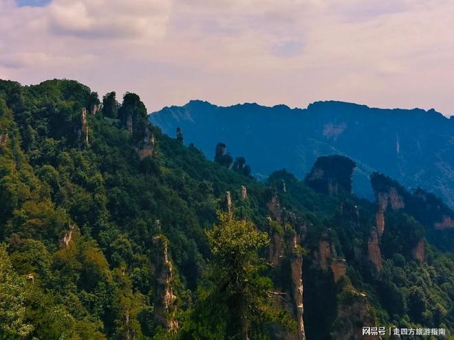 古城+芙蓉镇五天四晚老年团价格湖南张家界旅游攻略:张家界凤凰(图3) 古城+芙蓉镇五天四晚老年团价格湖南张家界旅游攻略:张家界凤凰(图3)