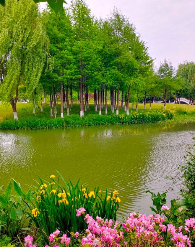 三天两晚行程+省钱技巧跟团报价春节去南京跟团游攻略:第一次去(图3) 三天两晚行程+省钱技巧跟团报价春节去南京跟团游攻略:第一次去(图3)